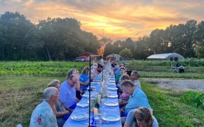 Farm To Table: What does it mean?